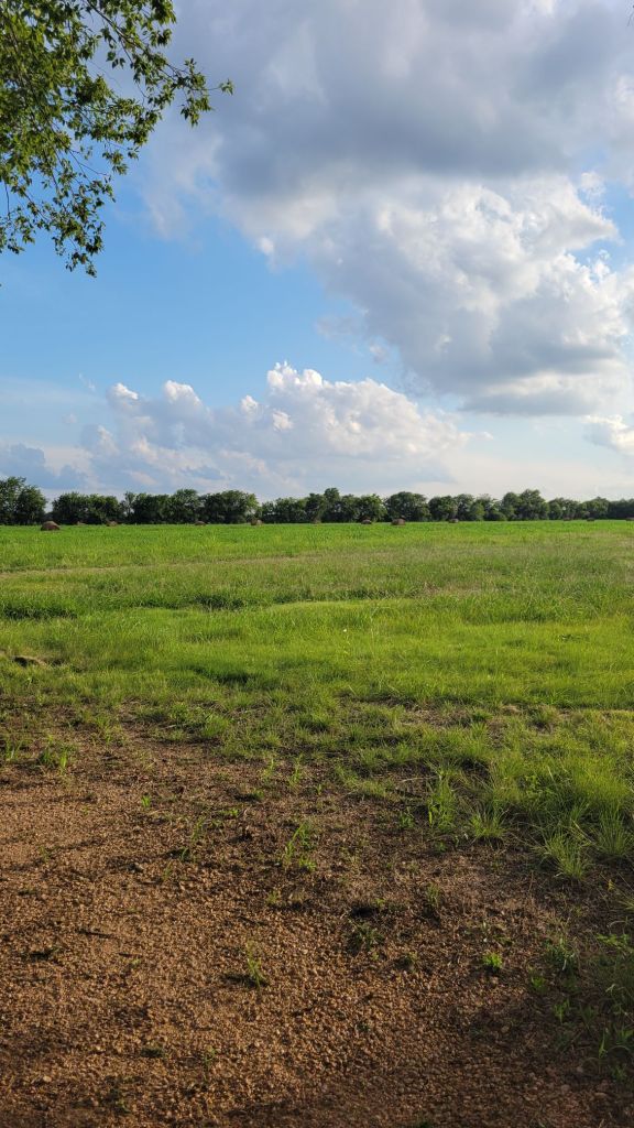 20250714_191111768452048095095895