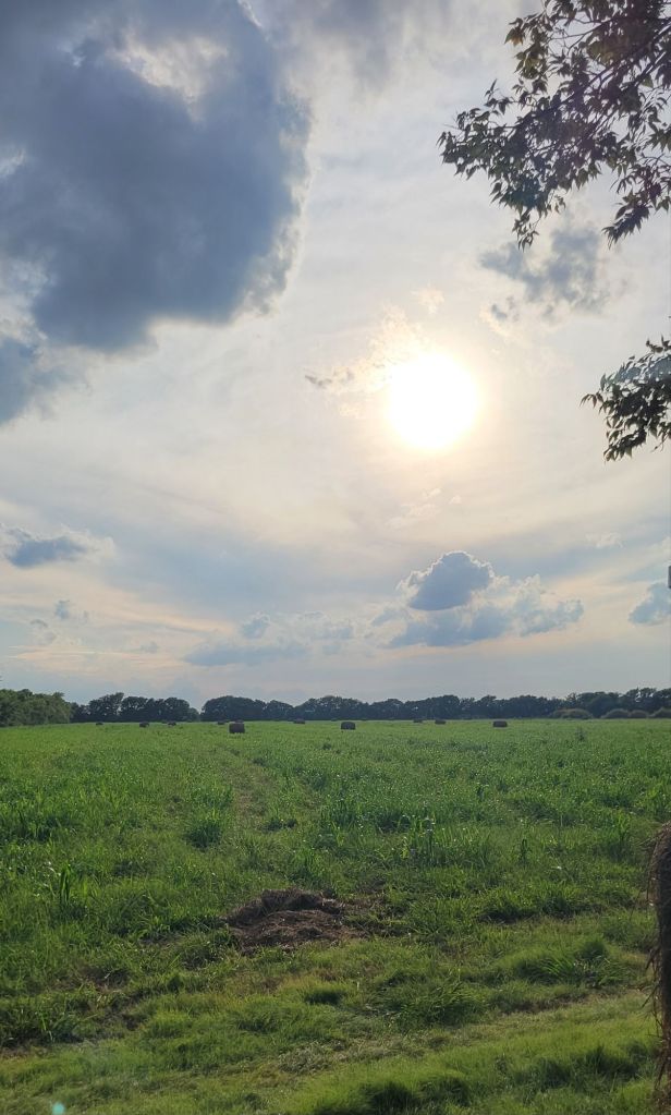 20250714_1914237880702622639516719