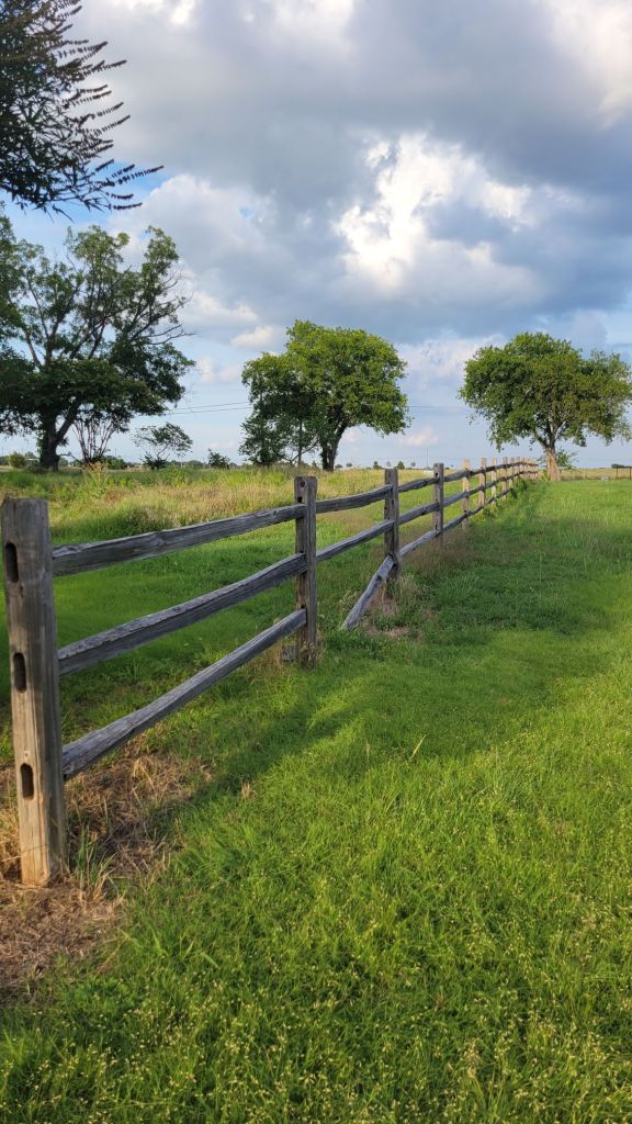 20250714_1916454635402744129698350